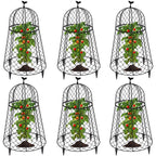 TAOMENNI 6 Packs Garden Cloches for Plants, Plant Protectors from Animals, Chicken Wire Cloche, Plant Cloche and Cage, Protection for Your Plants and Seedlings, 13" D x 20" H - Black