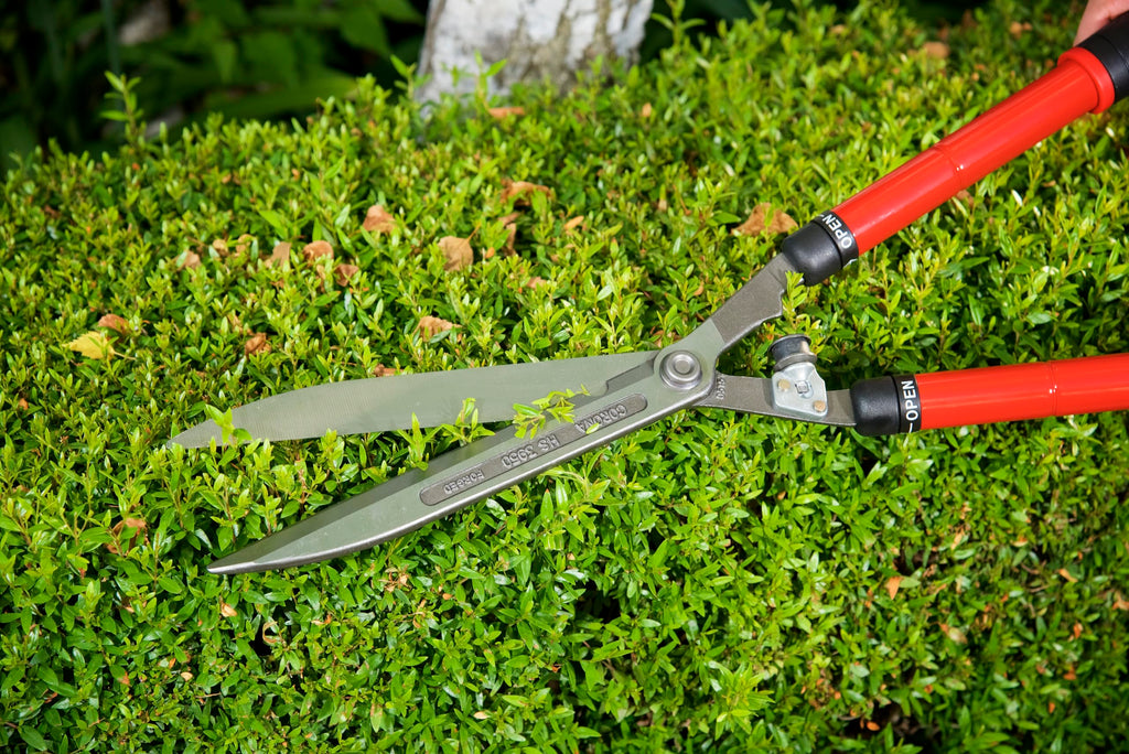 Corona Tools 10″ Extendable Hedge Shears – Telescoping Garden Trimmer For Hedges, Shrubs & Landscaping