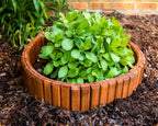 Flexible Brown Natural Lawn & Landscape Border Edging (8-Pack)