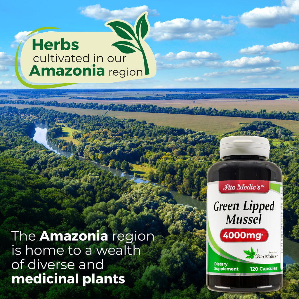 FITO MEDIC'S Green Lipped Mussel | Green Lipped Mussel Pills | 120 Capsules | Herbal Supplement