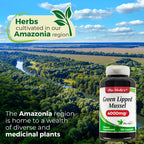 FITO MEDIC'S Green Lipped Mussel | Green Lipped Mussel Pills | 120 Capsules | Herbal Supplement