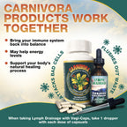 Carnivora Vegi-Caps - Gluten Free, Vegan Friendly Capsules to Strengthen and Support Your Immune System (100 Capsules)