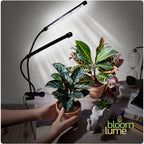 Bloom Lume LED Grow Lights for Indoor Plants Full Spectrum 6000K - Plant Grow Lights Indoor Features Multi Mode Color Spectrums (Red, White & Blue), Dimmable, Auto Timer, Clip on Gooseneck Plant Lamp