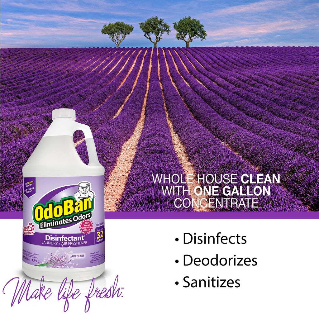 OdoBan Disinfectant Concentrate and Odor Eliminator, Made in the USA, Original Eucalyptus, Lavender and Cotton Breeze Scents, 3 Gallons