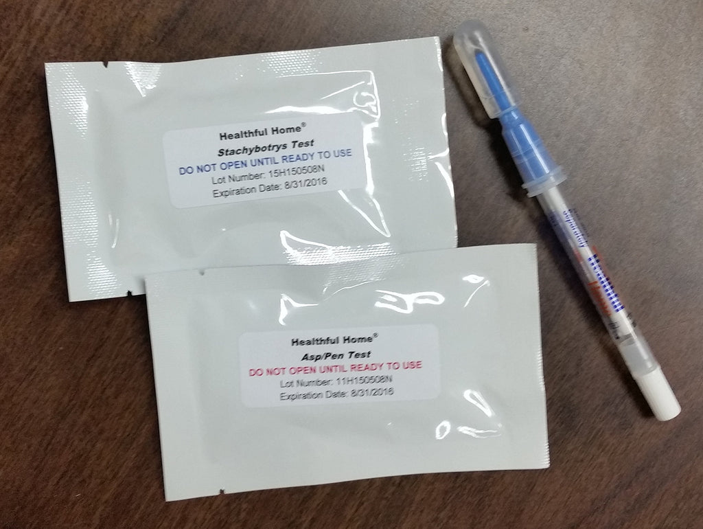 Healthful Home 5-Minute Mold Test Kit - Easy At-Home Mold Detection for Aspergillus/Penicillium & Stachybotrys, DIY Testing for Indoor Air & Moist Areas, No Lab Required, Includes Expert Consultation