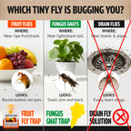 Super Ninja Fruit Fly Traps for Indoors - 6 Pack, Highly Effective Fruit Fly Catcher for Indoor Use for Home & Kitchen, Up to 3 Weeks of Performance per Bottle, Kid & Pet Friendly