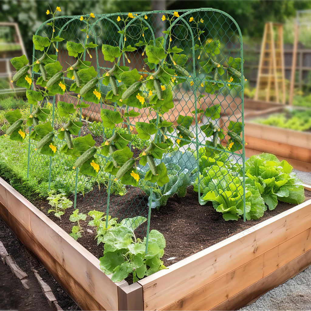 Cucumber Trellis, 50" X 47" U-Shape Garden Trellis for Climbing Plants Outdoor, Arch Trellis Cucumber for Raised Bed, Foldable Plant Support for Vine/Vegetable/Tomato/Zucchini/Pea