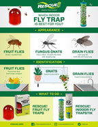 RESCUE! Fruit Fly Trap Bait Refill – 30 Day Supply – 10 Pack