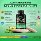 Mullein Lung Detox - Mullein Leaf Extract - Marshmallow Root | Echinacea | Oregano | Quercetin | NAC - 15-in-1 Lung Support & Cleanse for Smokers Supplement - Made in USA - As Drops - 60 Capsules