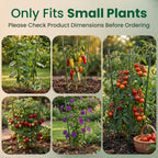 Oriva 4 Pack Round Tomato Cages for Garden,18 inches Small Metal Tomato Cages with Adjustable Rings,Tomato Trellis and Plant Support for Raised Garden Beds, Pots and Climbing Vegetables