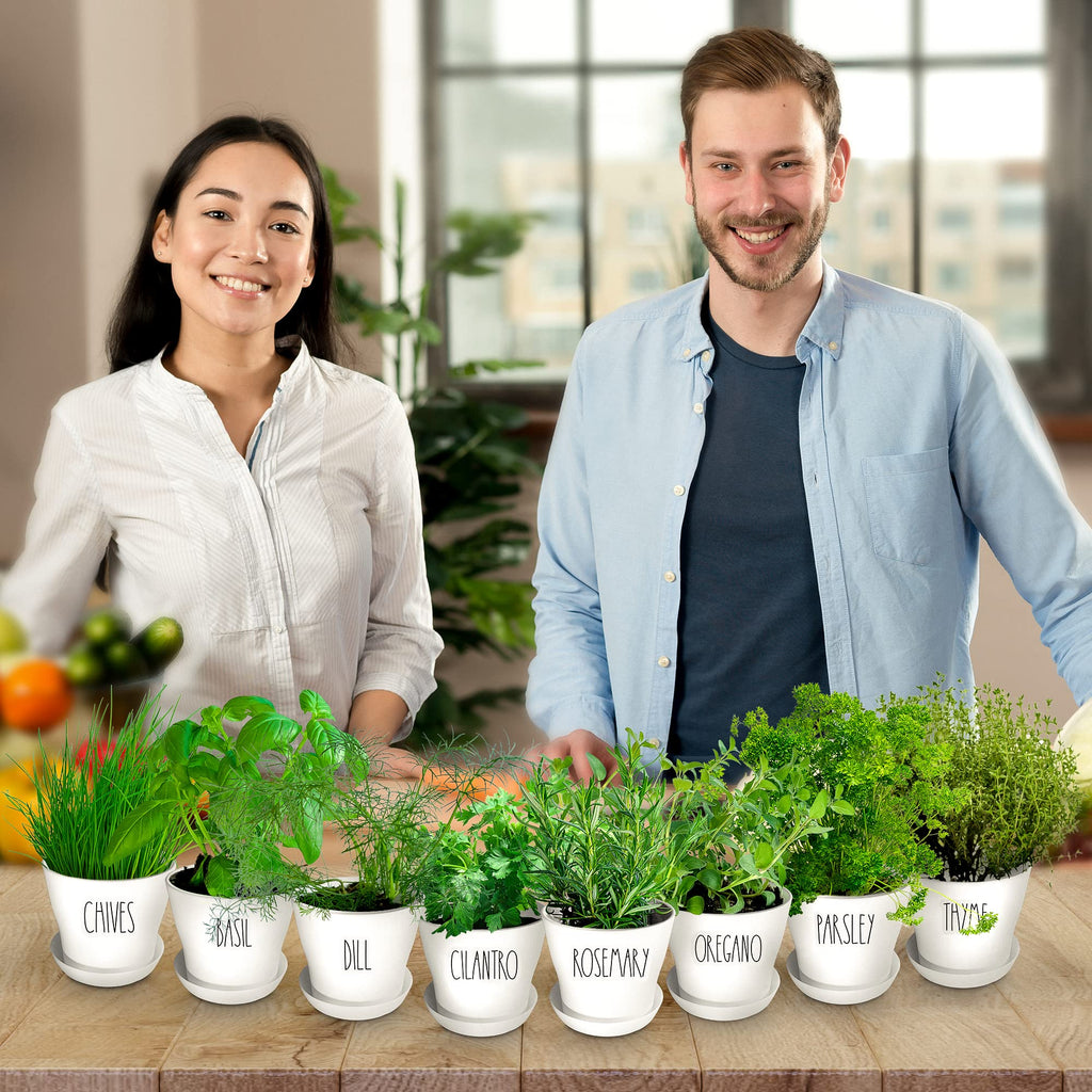 Herb Garden Starter Kit - 8 USA Culinary Herbs