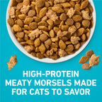 Purina ONE Tender Selects Dry Cat Food, Salmon, 7 lb Bag