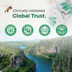 LABO Nutrition Brazilian Green Propolis Ultimate - Contains >7% or 28mg per Serving Artepillin C & >5% Flavonoids, for Immune & Brain Support, Natural, High Concentrate & Premium, 60 Veg Capsules