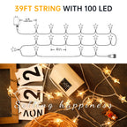 HEYFUNi 39FT 100LED Star String Lights Plug in, Twinkle Lights with Remote