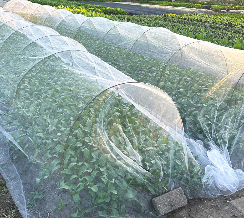 2PCS Insect Netting -10x43FT Fine Mesh Garden Protection Netting for Vegetables Plants Flowers Crops,Row Covers for Raised Bed from Birds Deer Squirrels Barrier Pest