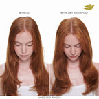 Dove Dry Shampoo Spray, Hair Volume & Fullness, Absorbs Oil, 5 oz (2-Pack)