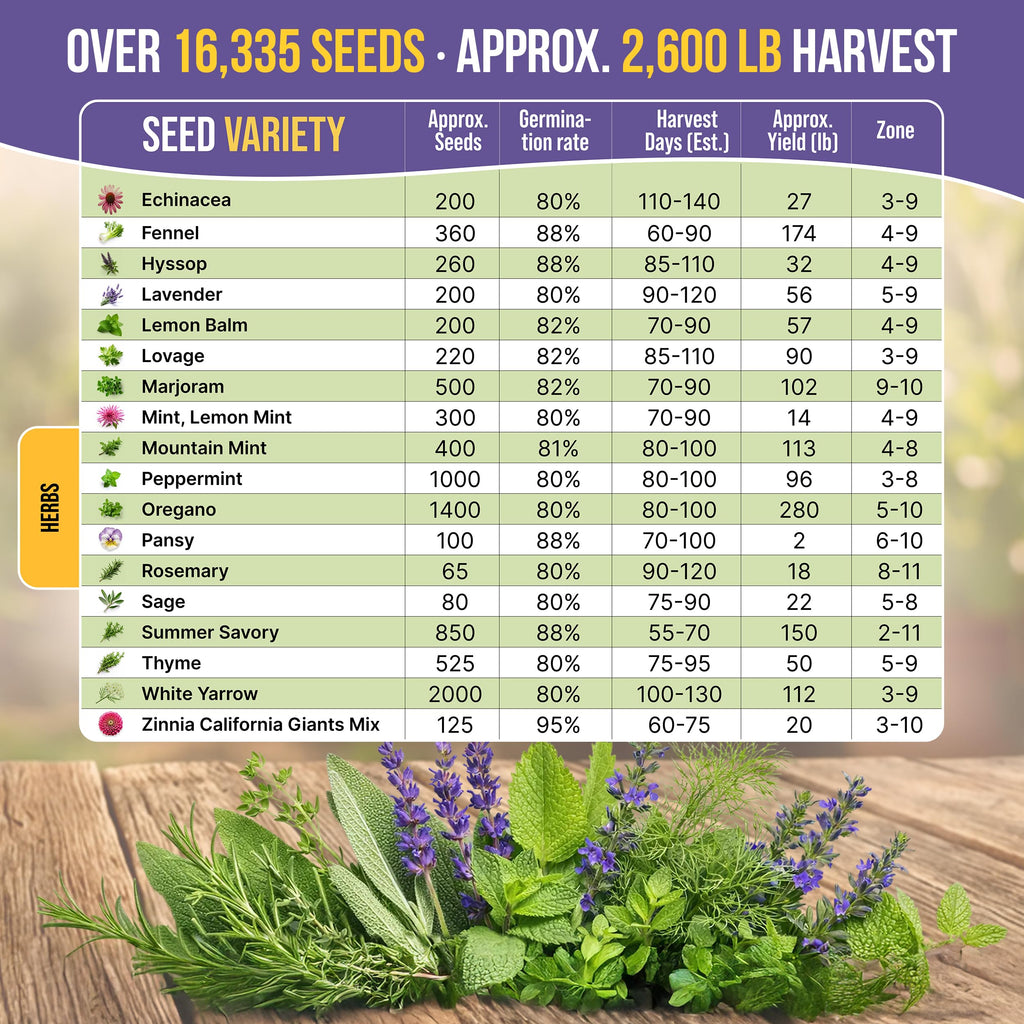 35 Medicinal & Tea Herb Seeds Variety Pack for Indoor & Outdoors. 16,335+ Non-GMO Heirloom Garden Seeds: Anise, Bergamot, Borage, Cilantro, Chamomile, Dandelion, Rosemary Seeds & More