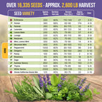 35 Medicinal & Tea Herb Seeds Variety Pack for Indoor & Outdoors. 16,335+ Non-GMO Heirloom Garden Seeds: Anise, Bergamot, Borage, Cilantro, Chamomile, Dandelion, Rosemary Seeds & More