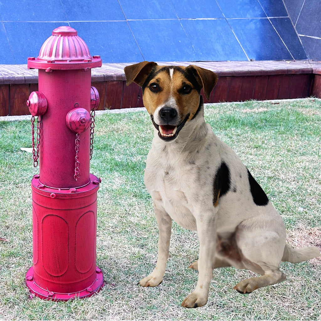 Dog Fire Hydrant Pee Post, 22.4" H Fake Fire Hydrant for Dogs to Pee on