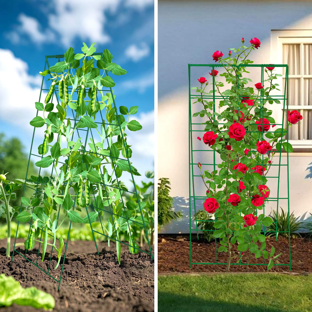 3 Packs Foldable Cucumber Trellis, 23.6" W x 54" H A-Frame Cucumber Cages for Garden, Plant Support for Raised Bed, Climbing Vegetables, Squash, Peas, Flowers