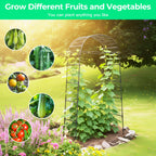 Garden Arch Trellis for Climbing Plants, 82 Inch Tall Grape Trellies for Outdoor,Flower Vegetable Tomato Cucumber Trellis with Clamp Netting, Metal Vine Plants Support for Wedding Garden Decoration