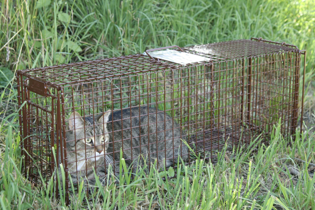 Tru Catch 30LTD Humane Live Animal Trap - Easy & Safe Catch & Release for Cats, Rabbits, & Other Small Animals - Durable Light Duty TNR - (30" L x 11" H x 9" W)
