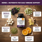 Elderberry Vitamin C and Zinc Capsules for Adults | 240 Count with Quercetin & Vitamin D3 | 6-in-1 Immune Support Supplement Pills | Sambucus Black Elderberry Natural Immunity Vitamins | Made in USA