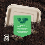 100% Compostable Clamshell Take Out Food Containers [8X8" 50-Pack] Heavy-Duty Quality to go Containers, Natural Disposable Bagasse, Eco-Friendly Biodegradable Made of Sugar Cane Fibers