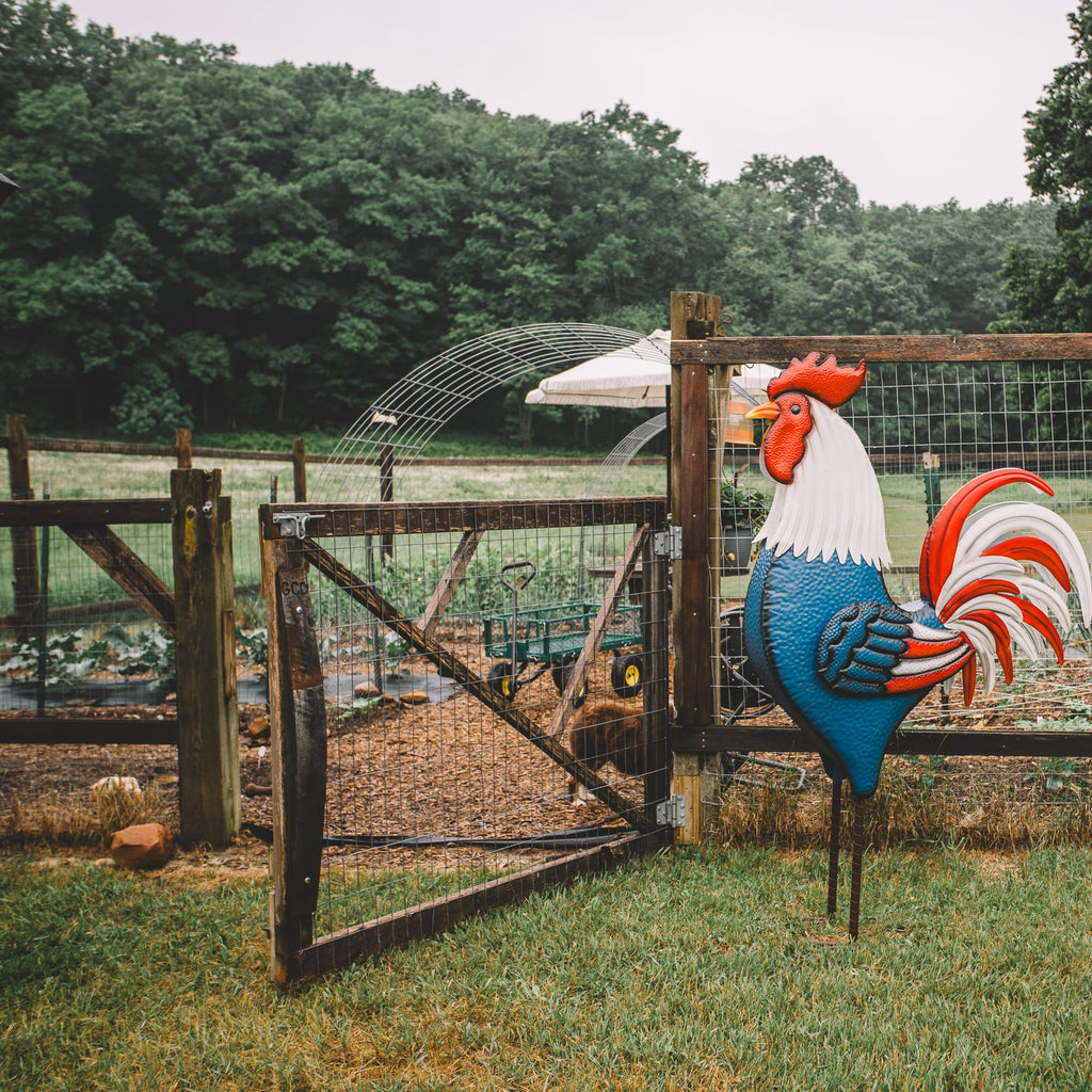 Backyard Expressions Rooster Décor Garden Statue - Chicken Yard Art Sculpture Outdoor - 63 Inch (Patriotic)