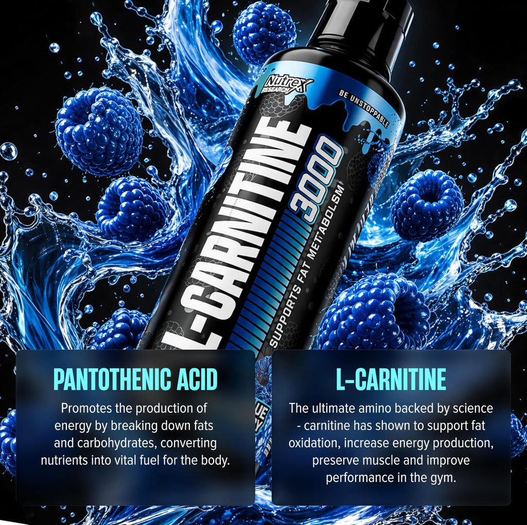 Nutrex Research L Carnitine 3000 - Clinically Dosed L-Carnitine Liquid for Energy, Metabolism & Muscle Recovery - No Sugar, No Carbs, No Stimulants - 31 Servings (Blue Raspberry, 31 Servings)