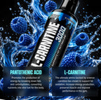 Nutrex Research L Carnitine 3000 - Clinically Dosed L-Carnitine Liquid for Energy, Metabolism & Muscle Recovery - No Sugar, No Carbs, No Stimulants - 31 Servings (Blue Raspberry, 31 Servings)