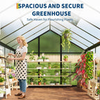 6x8FT Polycarbonate Greenhouse, Walk-in Outdoor Aluminum Frame Greenhouse with Roof Vent, Lockable Push Door for Garden, Backyard, Patio & Lawn