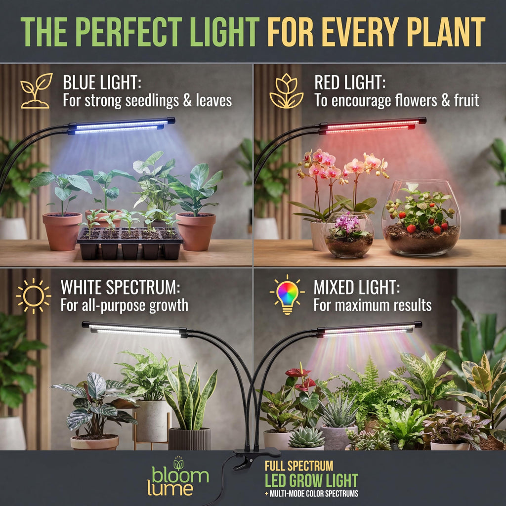 Bloom Lume LED Grow Lights for Indoor Plants Full Spectrum 6000K - Plant Grow Lights Indoor Features Multi Mode Color Spectrums (Red, White & Blue), Dimmable, Auto Timer, Clip on Gooseneck Plant Lamp