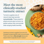 Youtheory Turmeric - 450 mg - with Black Pepper & Olive Leaf - Supports Joint & Brain Health* - Contains Bioenhancers, Curcuminoids & Herbal Extracts - 120 Tablets (40-Day Supply)
