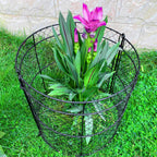 JILLSKY 16" Chicken Wire Plant Cages, 6 Pack