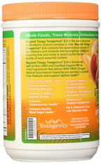 Beyond Tangy Tangerine 2.0 CITRUS PEACH FUSION - 480 G CANISTER