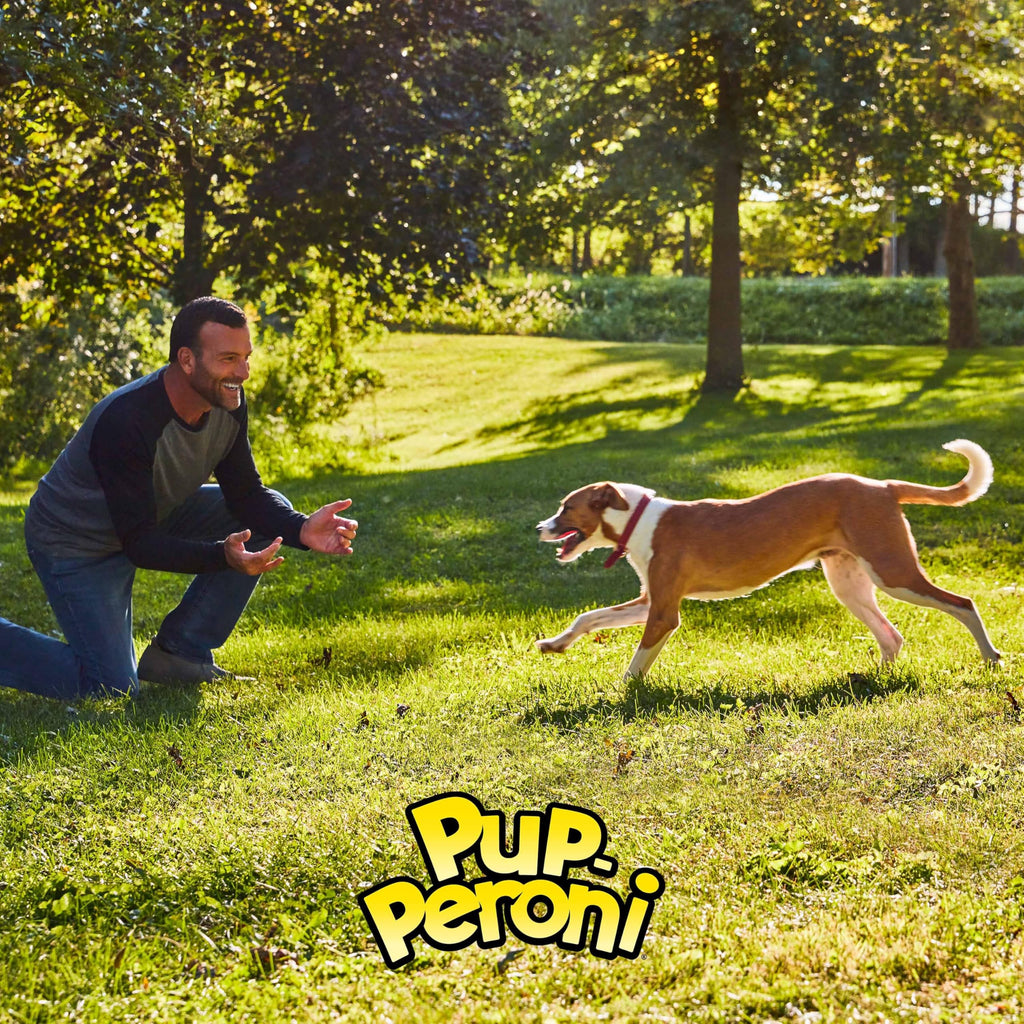 Pup-Peroni Prime Rib Flavor Dog Treats, 38 Oz. Bag