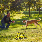 Pup-Peroni Prime Rib Flavor Dog Treats, 38 Oz. Bag