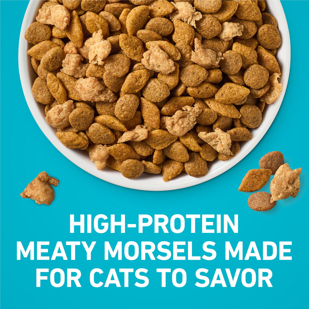 Purina ONE Tender Selects Dry Cat Food, Chicken, 16 lb Bag