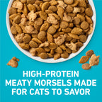 Purina ONE Tender Selects Dry Cat Food, Chicken, 16 lb Bag
