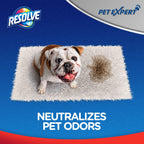 Resolve Pet Expert Easy Clean Carpet Foam Spray Refill, 2 Piece Set, Stain and Odor Remover Solution