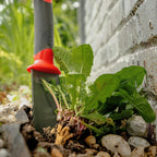 Root Slayer 17211 Soil Knife with Holster, Red
