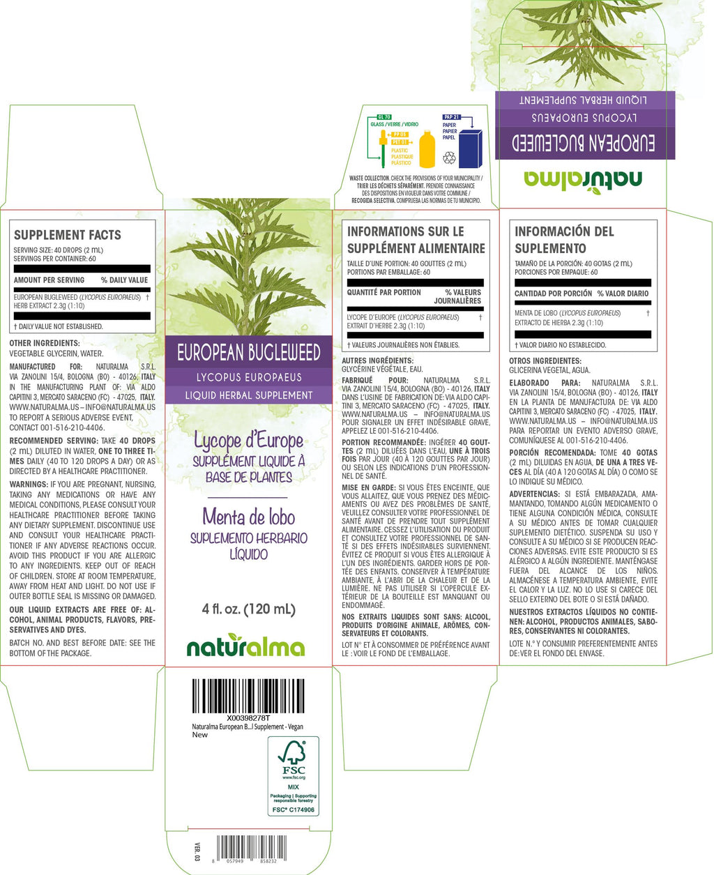 Naturalma European Bugleweed or Gypsywort (Lycopus europaeus) herb Alcohol-Free Tincture - 4 fl oz Liquid Extract in Drops - Herbal Supplement - Vegan