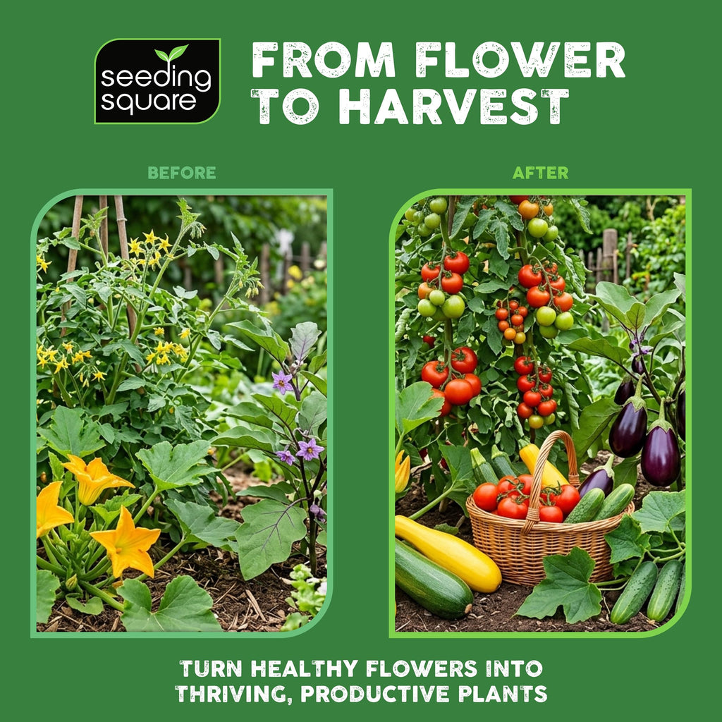 Handheld Pollinator Tool with Soft Silicone Brush for Indoor Garden Flowers