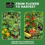 Handheld Pollinator Tool with Soft Silicone Brush for Indoor Garden Flowers