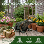 Lune cle Crouching Frog Prince Garden Statue, Yard Decorations Outdoor Decor, Weather-Resistant Animal Figurines & Sculptures for Patio & Porch, 11.5" L×8" H