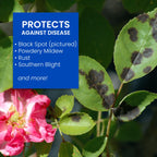 BioAdvanced All-In-One Rose and Flower Care Fertilizer, Concentrate, 64 oz, Rose Fertilizer and Disease Control