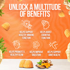 BeElevated Curcumin Turmeric Gummies – Extra Strength 2000mg Turmeric and Ginger Supplement Gummies with Black Pepper – Vegan and Non-GMO, Peach Flavor - Pack of 2