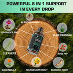 HERBIFY Lymphatic Drainage Drops for Liver Detox & Immune Support - Lymph System Support Drops - Detox Cleanse - 60 Days Supply - 2 Fl Oz Made in USA