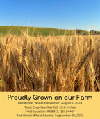 Certified Glyphosate Residue Free Hard Red Winter Wheat Berries | 1 LBS | Family Farmed in Washington State | Non-GMO Project Verified | 100% Non-Irradiated | Certified Kosher Parve | Field Traced